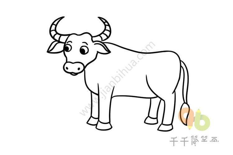 大黃牛身體部位簡(jiǎn)筆畫
